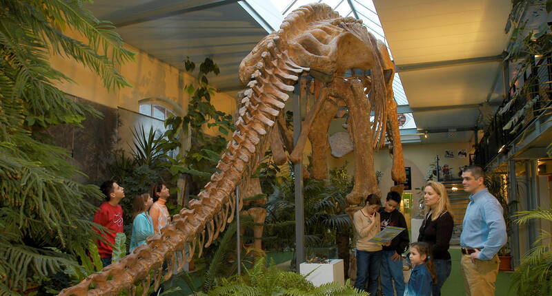 50% Rabatt auf den Eintritt ins Sauriermuseum Aathal. Jetzt Rabattgutschein herunterladen. Direkt neben dem 23 Meter langen Brachiosaurus kannst du Skelette und Dinosaurierfilme bestaunen oder einen Kaffee geniessen. Zum Grillieren, Picknicken und Spielen lädt die Aussenanlage ein.